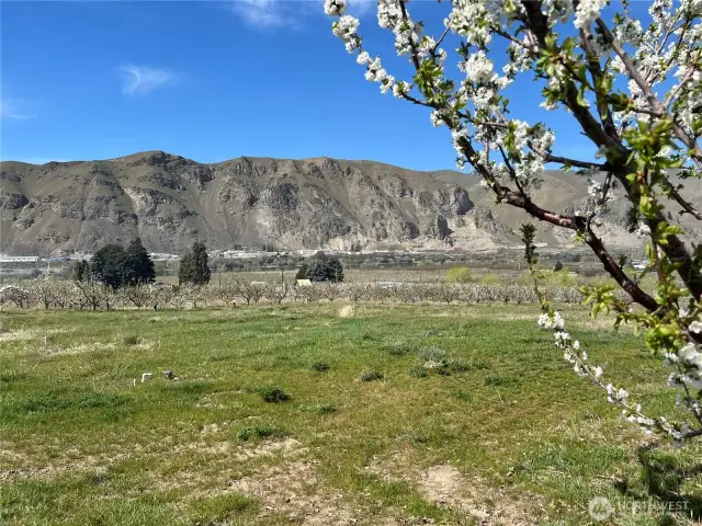 this photo looks west across the east expanse of this land sale towards the Columbia river
