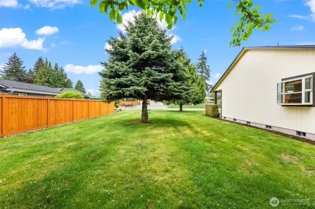 Mature landscaping