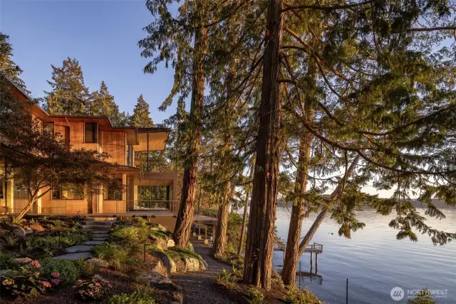 Literally listen to the whales breathe as they swim by your home