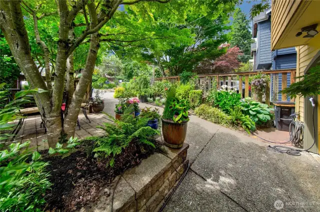 Front driveway and garden area