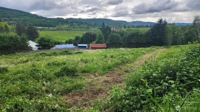2nd road in from Jarvis to pasture area.