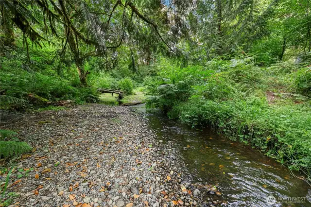 Beautiful pebbles along the creek