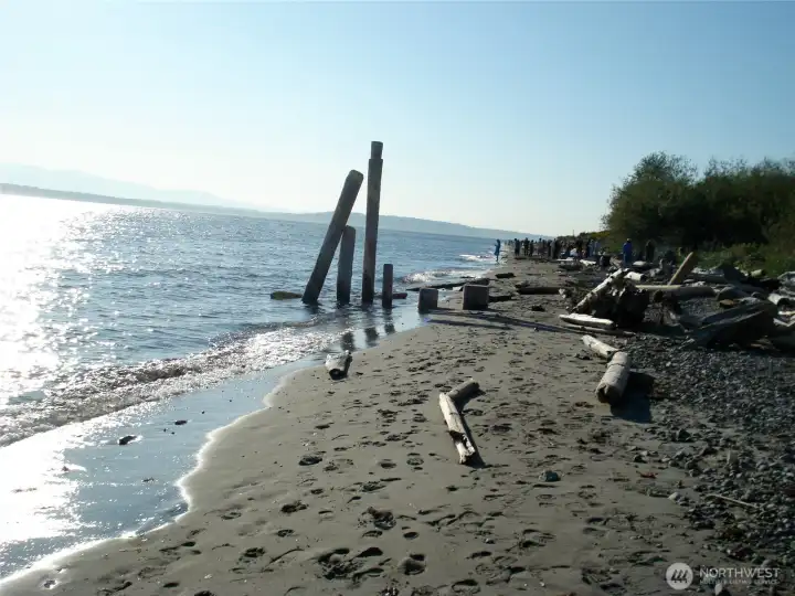 Saltwater Park Down the Hill