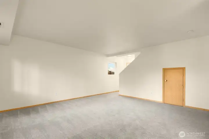 Small door to under the stairs storage