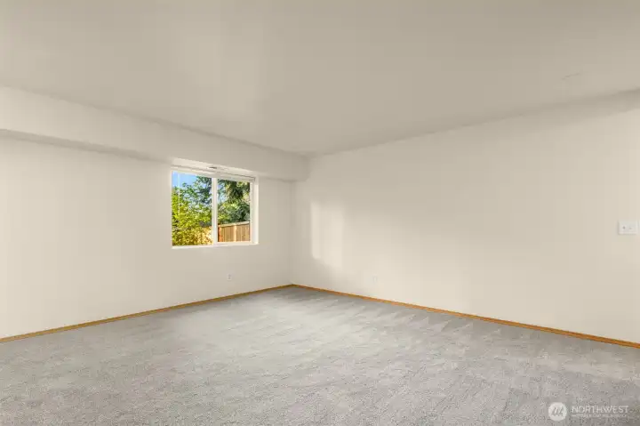 Brand new carpet and paint