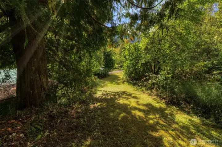 From Avenue A (a bit of it shows at the center of the photo) Penny Lane ascends into the forested land.