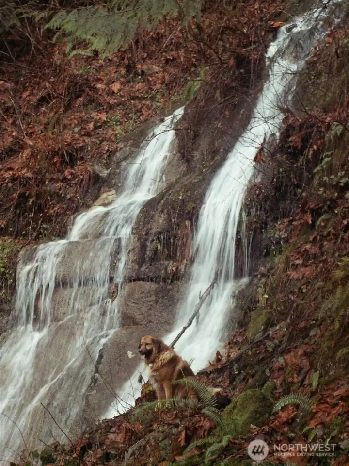 Alder falls, a striking seasonal waterfall flowing from an intermittent stream.