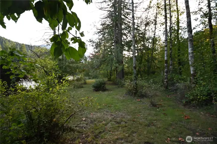 Riverside Park features alder and cedar trees with plenty of room for camping, complemented by trails that wind through the forest.