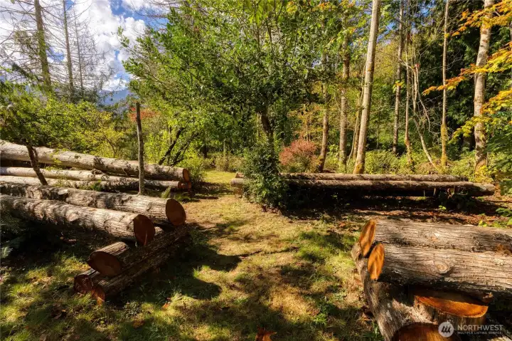 When four huge cedars from river’s edge fell across part of the park, the landowner looked on it as a gift, turning what could have been just bad luck into a unique new area for playing, camping, picnicking.
