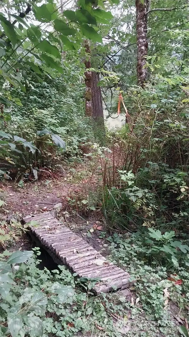 Trails meander throughout the property, this woodland trail features a quaint footbridge.