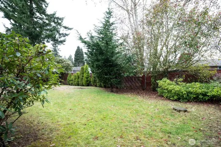 Good sized back and front yard