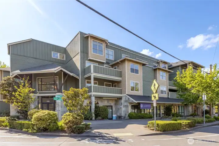 Great Magnolia location