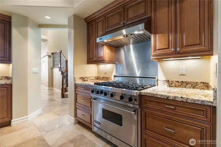 Viking appliances in kitchen