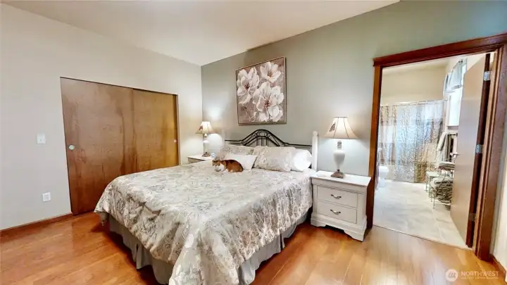 Main floor primary suite features walk-in closet