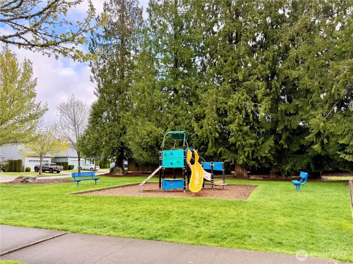 Kensington community park