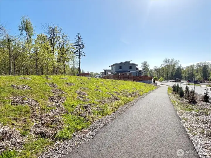Looking down Creston toward the home - tons of privacy and light.