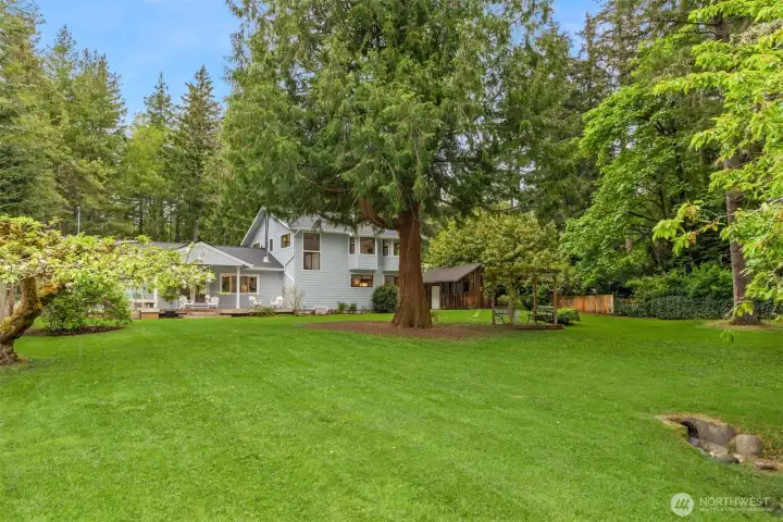 Huge, level, backyard, fully fenced and bathed in southern light.