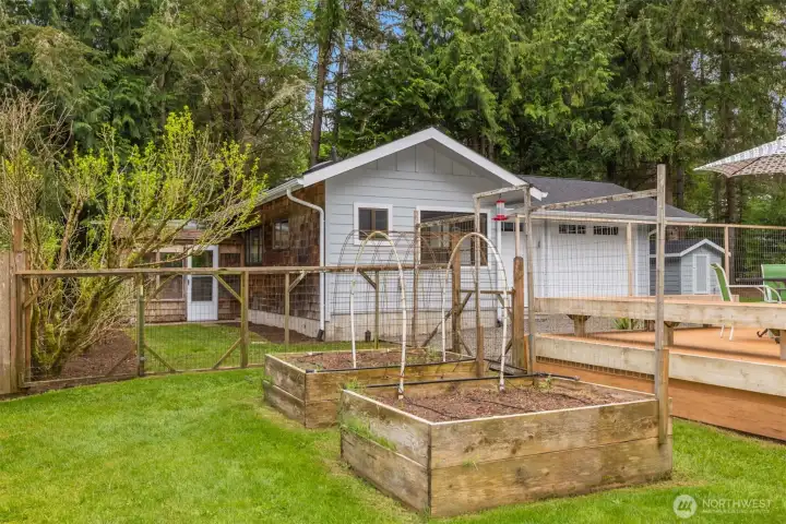 Greenhouse and raised beds.