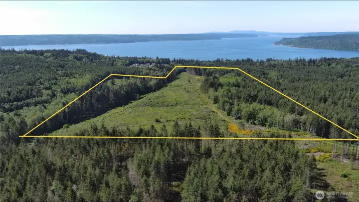 Approximate outline of the offering. There is a road along the clearing in the foreground and another along the treeline at left side along treeline.