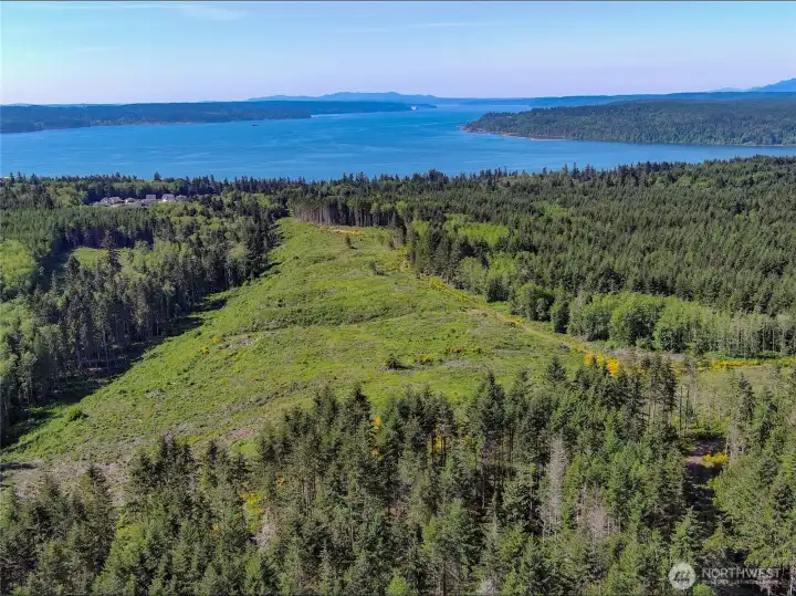 South view of the property with Hood Canal  in distance.