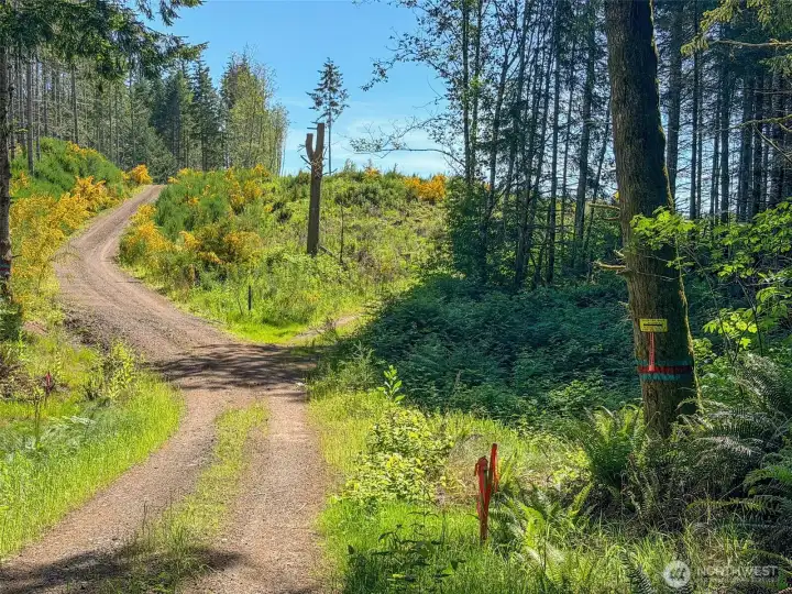 well kept roads throughout.
