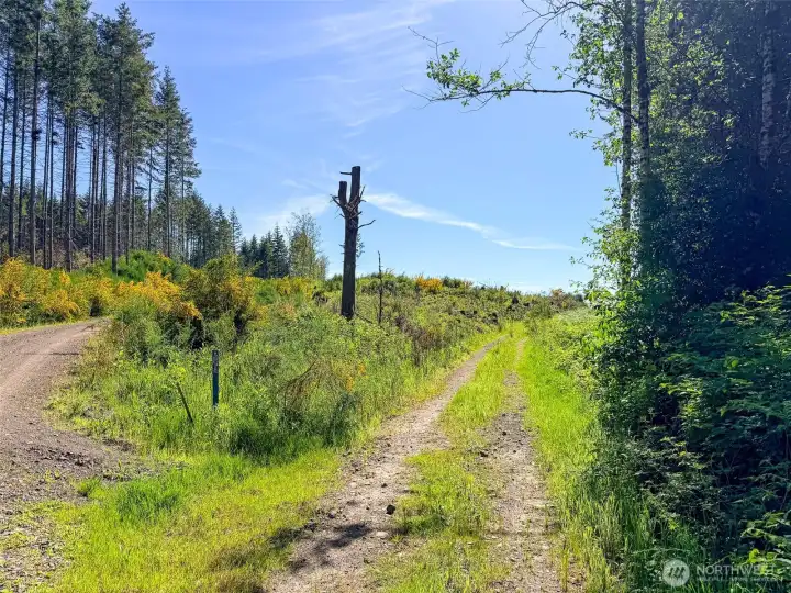 Fork in the road. One to left is W - E. To the right to the south. Your choice, Your property.