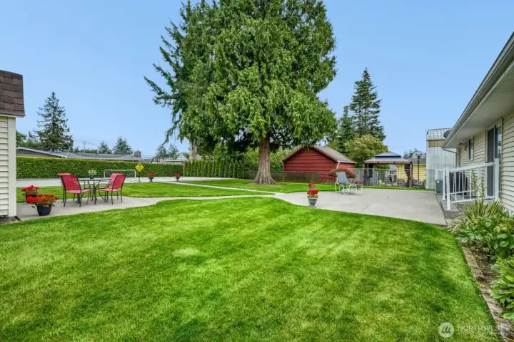 Backyard