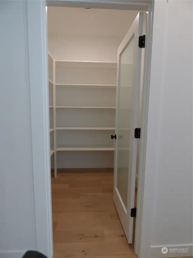 Large pantry off the kitchen for plenty of storage.  No wire racks used in this upscale home.