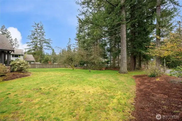 Huge side yard