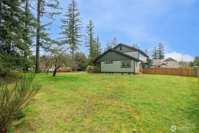 Huge side yard