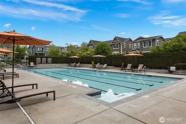 Community Outdoor Pool