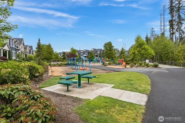 Timber Creek Park & Playground