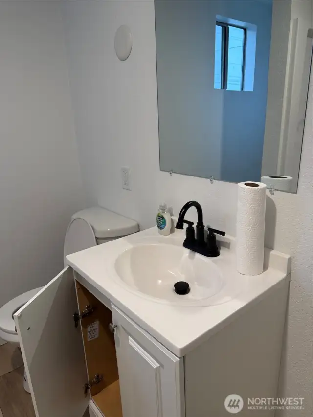New sink vanity in 2 bedroom unit