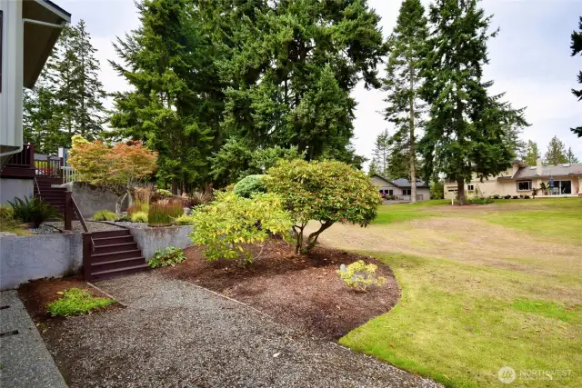 back yard