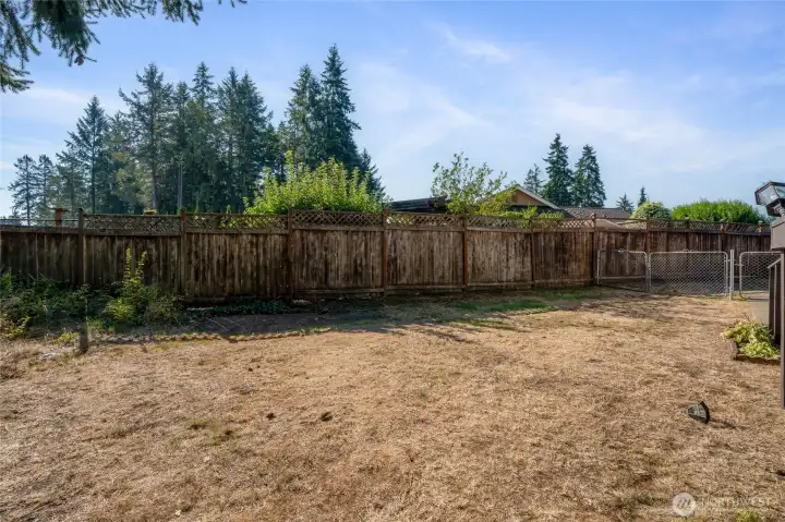 Large Fenced Yard