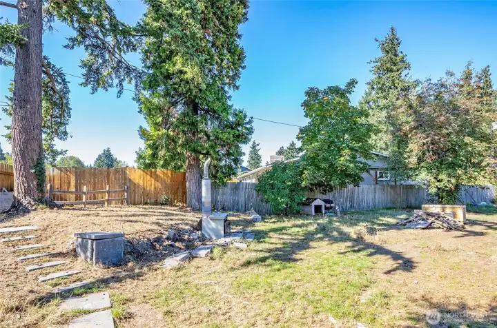 Very large backyard