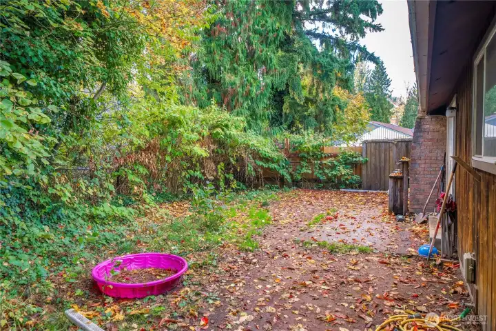 Tucked beside the home, this private side yard offers plenty of space for play, gardening, or future landscaping ideas — shaded by mature evergreens for year-round greenery.