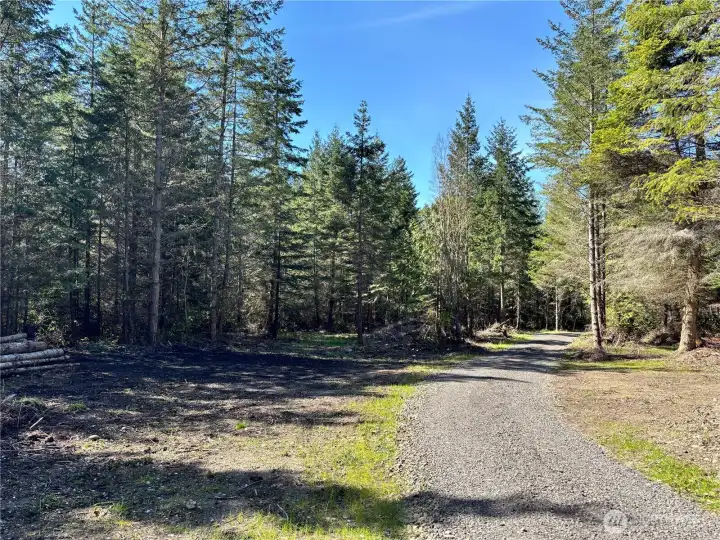 Looking back from home site.