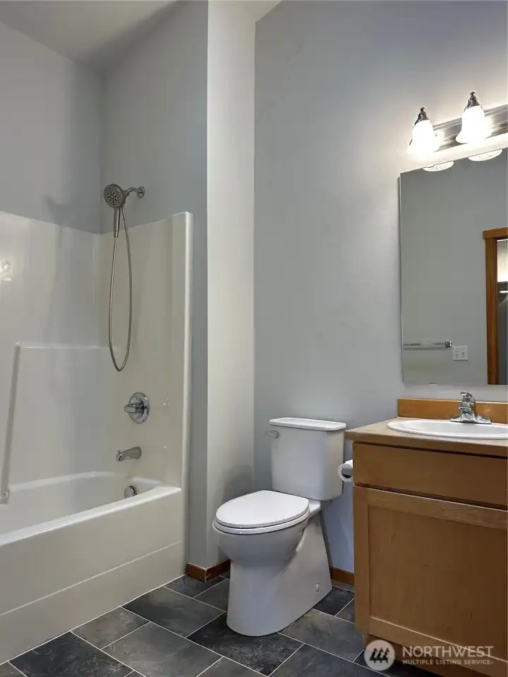 Upstairs shared bathroom - new shower head and toilet