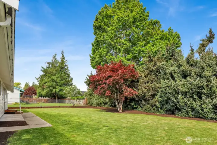 Spacious backyard with in-ground irrigation and a large lawn—perfect for throwing a football or hosting backyard barbecues. Enjoy added privacy and a partially fenced layout that offers both openness and function.