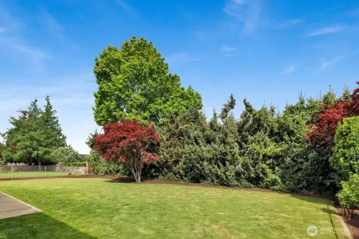Without a doubt one of the best parts about this property is the back yard!  Look at the privacy!