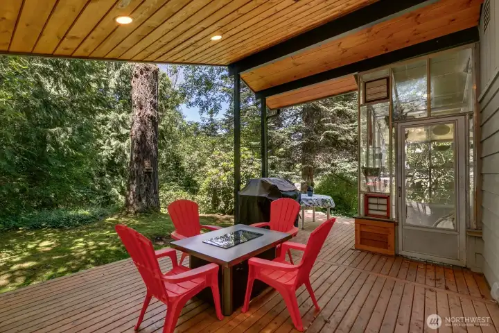 Covered Deck/Garden Green House