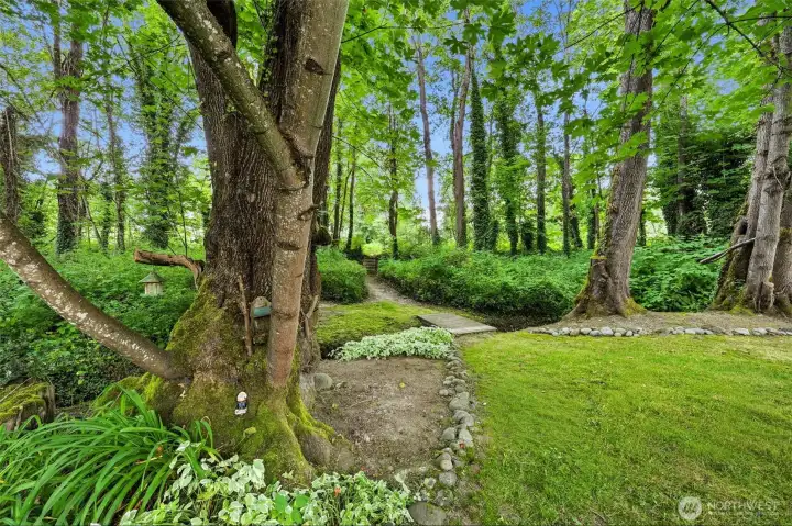 Welcome to the outdoor oasis. Welcome to the outdoor oasis.