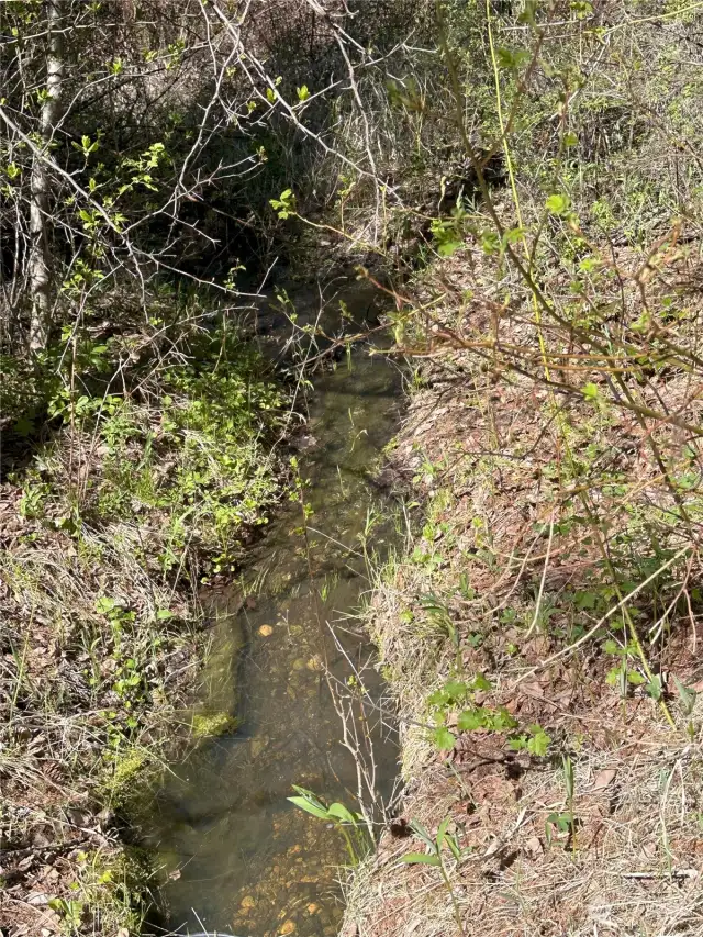 Creek running through property