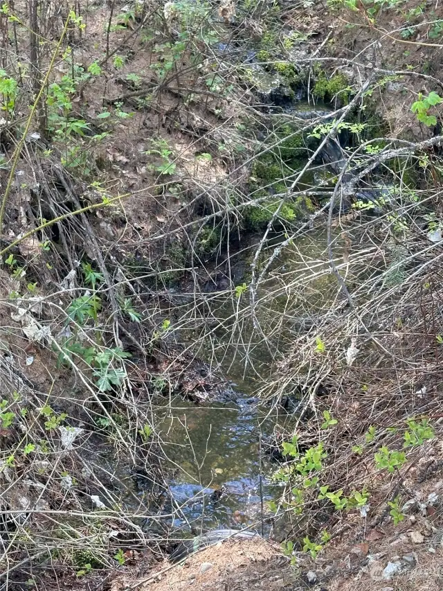 Another view of creek running through property