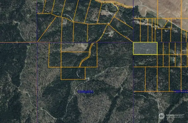 580 acres of Okanogan National Forest borders property