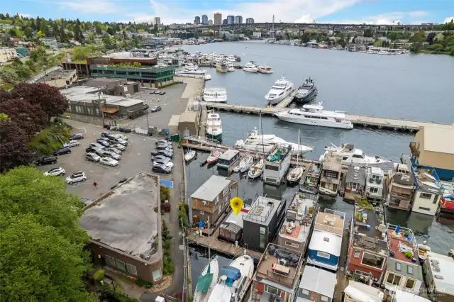 Right in the Heart of Seattle