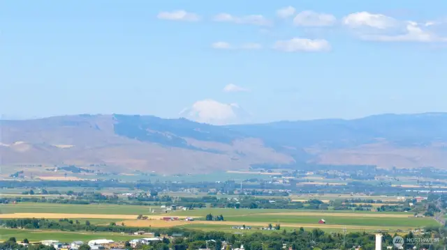 Views of Rainier from property