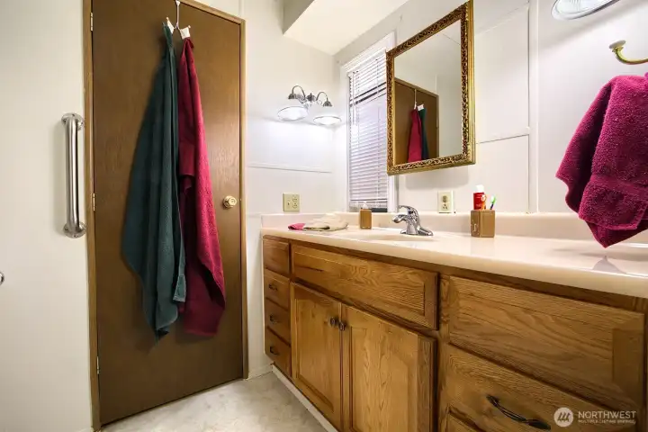 Vanity with storage in the guest bathroom. Counter space for all bath necessities.