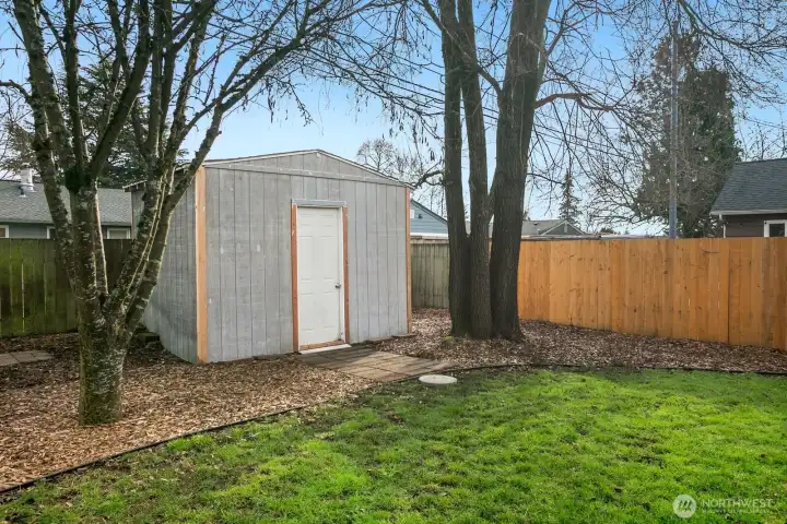 Large shed for storage and organization